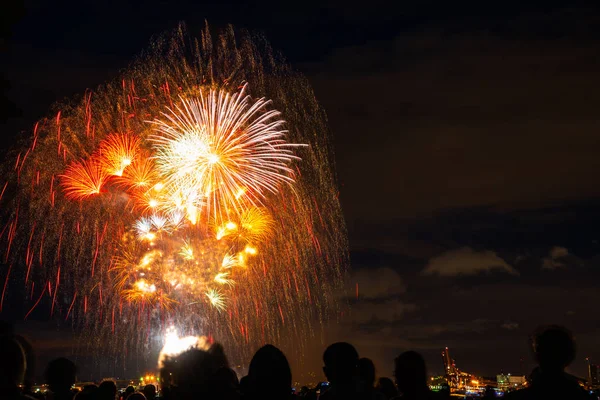 Vuurwerk Vancouver Canada Canada Day Silhouet Van Mensen Kijken Naar — Stockfoto