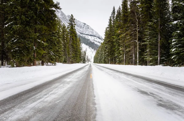 Vazio Icy Forest Road Uma Paisagem Montanhosa Dia Inverno Nublado — Fotografia de Stock