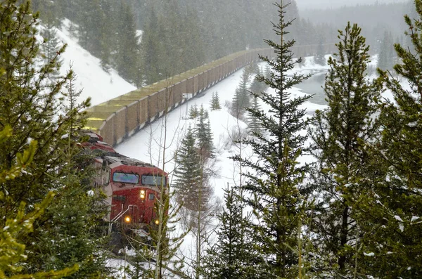 在暴风雪期间 在冬季山区的景观中 由强大的柴油发动机拉动的货物列车 加拿大 班夫国家公园 — 图库照片