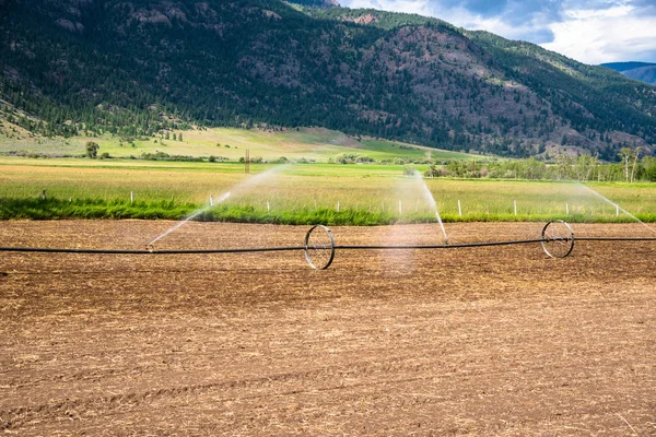 Système Irrigation Arrosage Champ Par Une Journée Ensoleillée Été Les — Photo