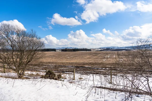 Ländliche Landschaft Teilweise Schneebedeckt Unter Blauem Himmel Der Schottischen Landschaft — Stockfoto