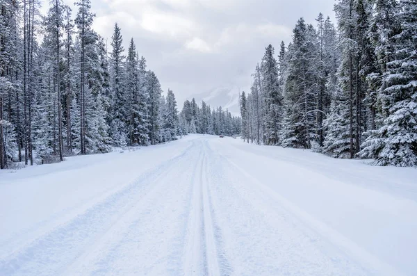 Snowy Road Através Uma Floresta Dia Inverno Nublado Carro Estrada — Fotografia de Stock