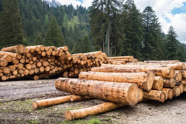 Timber Industry Stacks Logs Forest Road Alps Cloudy Spring Day — Stock Photo, Image