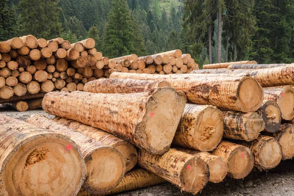 Piles Logs Mountain Road Alps — Stock Photo, Image
