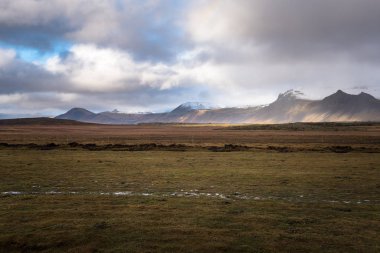 Bir lav alanı ve İzlanda bir bulutlu sonbahar sabahı ufukta karla kaplı dağ çayır