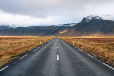 Boş yol Vadisi çimenli alan ve İzlanda'daki kırmızı çatı çiftlikleri ile bulutlu bir sonbahar gününde çalışan. Arka planda kar kaplı Volvanic dağlar vardır.