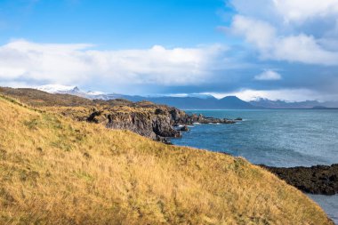 İzlanda'daki güzel kıyı sahne ön planda çimenli bir yamaç ve bazalt kayalıklarla sonbahar güneşli bir arka planda