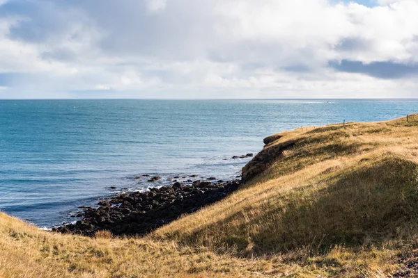 Grassy Slope Leading Black Rocky Beach Coast Iceland Cloudy Day — Stock Photo, Image