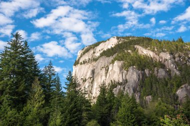 Açık gökyüzü altında bir dağ Cliff görünümünü bir yaz gününde. Çam ağaçları ön planda bulunmaktadır. Squamish, Bc, Kanada.