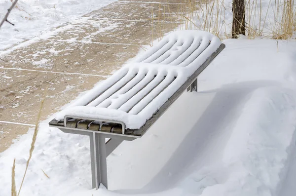Стильная Скамейка Wooden Застрявшая Снегу Ледяной Дорожке Общественном Парке Холодный — стоковое фото