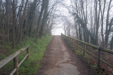 Sisli bir kış sabahı yaprak döken orman ile çit yolu