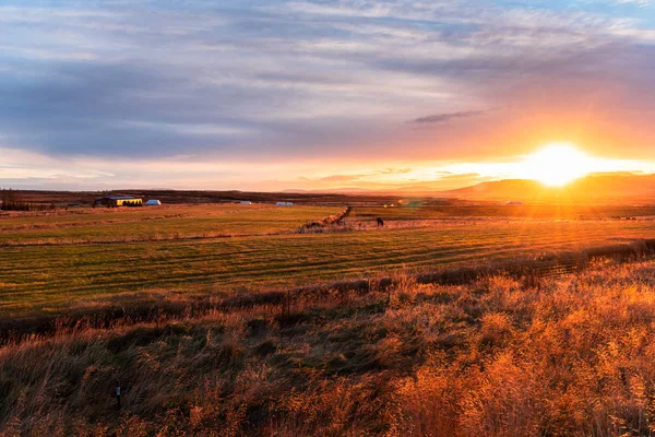 Осенний Закат Над Сельским Пейзажем Исландии — стоковое фото