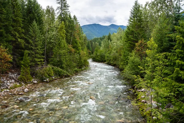 Beautiful Fast Flowing Mountain River Winding Its Way Forest Cloudy — Stock Photo, Image