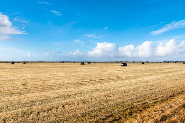 Schöne Ländliche Landschaft Mit Einem Feld Mit Heuballen Übersät Island — Stockfoto