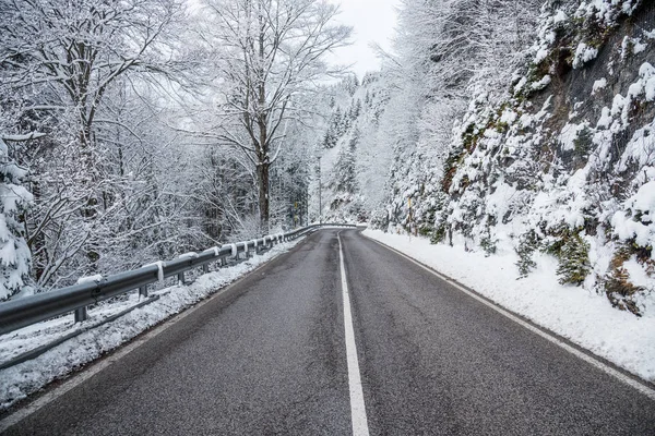 Estiramento Reto Uma Estrada Através Uma Floresta Nevado Nos Alpes — Fotografia de Stock