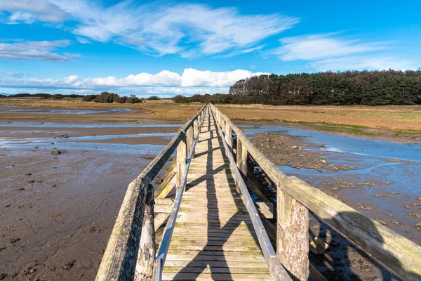 Puente Peatonal Madera Estrecho Vacío Spannin Cree Marea Marea Baja — Foto de Stock