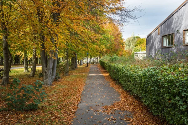 Pedestrians and Bicycles Path Lined with Tees on a Sunny Autumn Day. Beautiful Autumn Colours. Edinburgh, Scotland.
