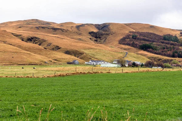 Granja Fondo Una Montaña Herbácea Ovejas Pastando Campo Día Nublado — Foto de Stock