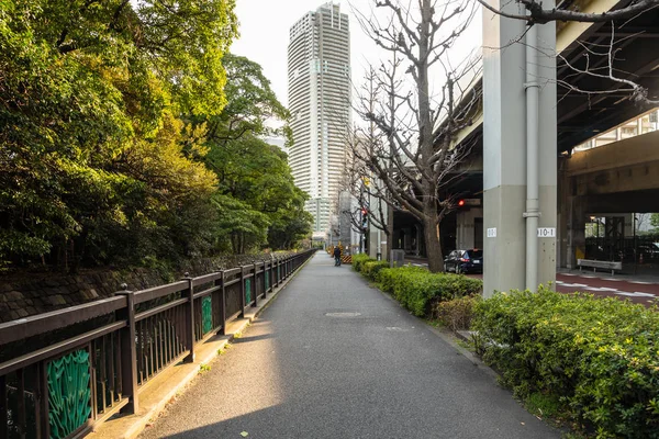 Paseo Lateral Forrado Con Seto Centro Ciudad Tokio Una Autopista — Foto de Stock