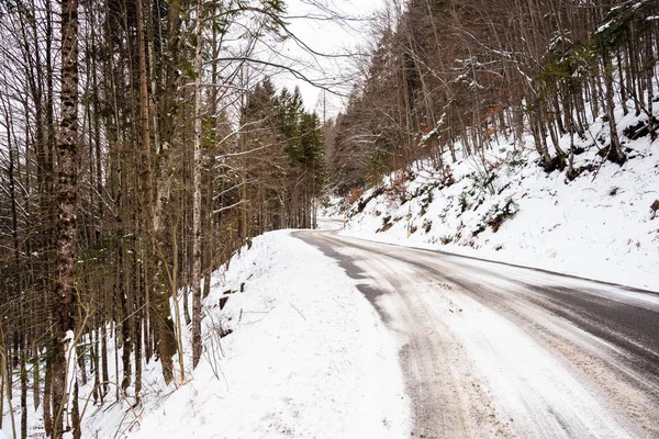 Camino Cubierto Nieve Través Bosque Caducifolio Los Alpes Eurpeos Día — Foto de Stock