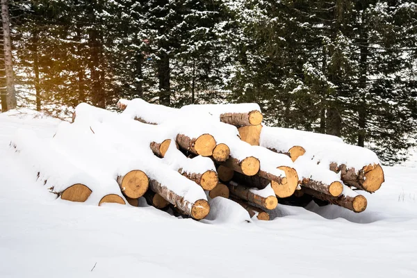 Śnieg Pokryte Stos Kłód Górskim Lesie Sosnowym Zimą — Zdjęcie stockowe