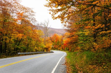 Vermont, ABD kırsalında renkli bir otumnal orman üzerinden doğal dağ yolu. Çarpıcı sonbahar renkleri.