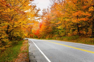 Güzel renkli bir ormanda geri yol. Vermont kırsal, ABD