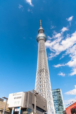 Tokyo, Japonya - 24 Mart 2019: Güneşli bir erken bahar gününde Tokyo Skytree kulesinin manzarası