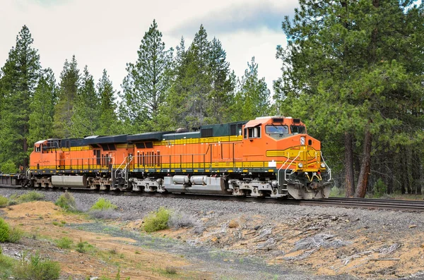 Poderosas Locomotivas Diesel Numa Ferrovia Que Atravessa Uma Floresta Curva — Fotografia de Stock