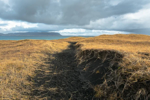 Leere Spur Durch Schwarze Sanddünen Entlang Der Südküste Von Island — Stockfoto