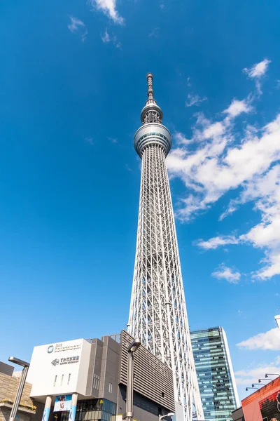 Tokio Japan März 2019 Blick Auf Den Tokyo Skytree Tower — Stockfoto