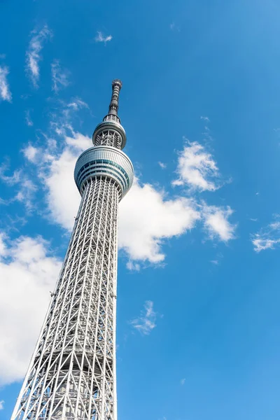 日本东京 2019年3月24日 天空树塔与蓝天的景观 — 图库照片