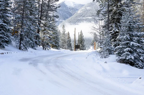 晴れた冬の日に雪山道に沿ってカーブ バンフ カナダ — ストック写真