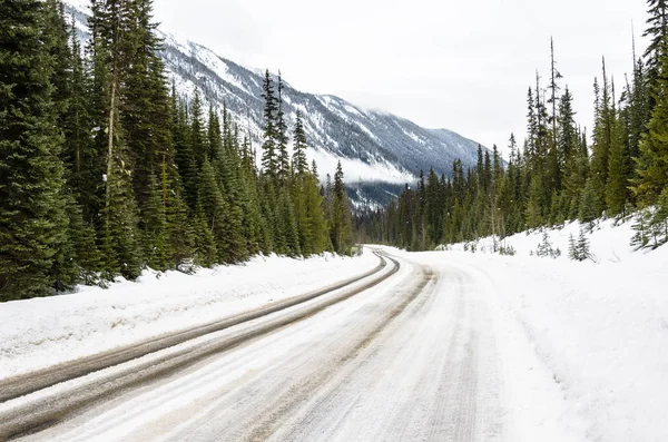 Deserted Icy Road Running Snowy Pine Forest Canadian Rockies Ona — Stock Photo, Image