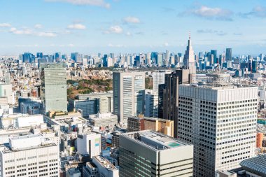Açık bir kış gününde Tokyo siluetinin havadan görünümü