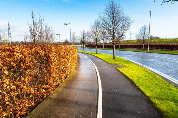 Wet pedestrian and bicycle path lined with a hedge and clear winter sky. Tranquil scene.