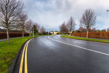 Boş sokak yağmurlu bir kış gününde bir kavşak için çıplak ağaçlarla kaplı. Dublin, İrlanda.