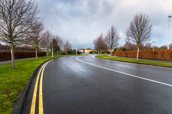 雨の冬の日に環状交差点に裸の木が並ぶ空の通り ダブリン アイルランド — ストック写真