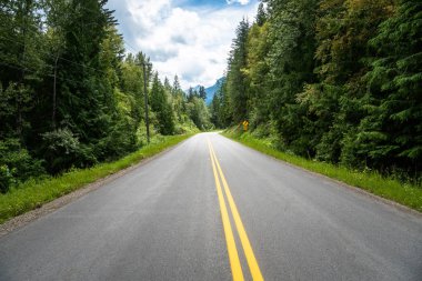Bulutlu bir yaz gününde dağlarda ıssız bir orman yolu görünümü. British Columbia, Kanada.