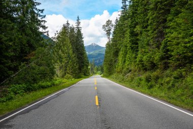 Açık bir yaz gününde uzun bir çam ormanı ile Dağ roadt. Üstünü karla kaplı yüksek bir dağ arka planda görünür. British Columbia, Kanada.
