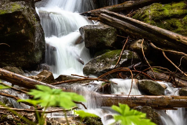 Longa Exposição Uma Pequena Cachoeira Remota Floresta Parque Nacional Mount — Fotografia de Stock