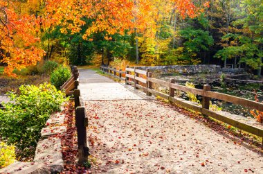 Sonbaharla kaplı çitle çevrili patika güneşli bir günde bir parkta yapraklar bırakır. Güzel sonbahar renkleri. Southford Falls State Park, Ct, Amerika Birleşik Devletleri.