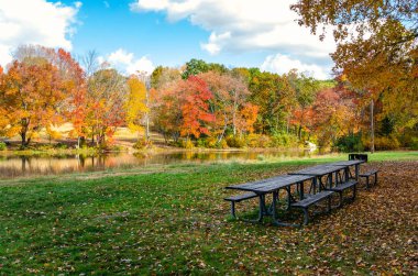 Boş ahşap picninc tablolar ve güneşli bir sonbahar gününde düşmüş yaprakları kaplı bir nehir çayır üzerinde Barbekü. Renkli ağaçlar nehri siler. Southford Falls State Park, Ct, Amerika Birleşik Devletleri.