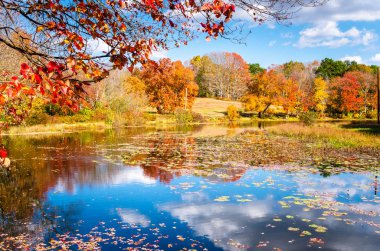 Güneşli bir günde zirve sonbahar yaprakları renklerde renkli ağaçlarla çevrili bir gölet ile güzel sonbahar manzara. Sudaki yansıma. Southford Falls State Park, Ct, Amerika Birleşik Devletleri.