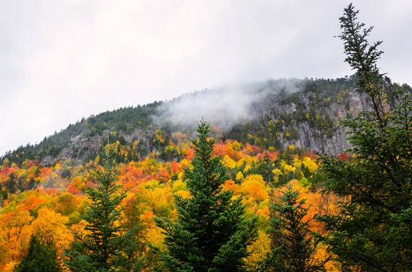 Floresta Montanha Colorida Dia Chuvoso Outono Cores Deslumbrantes Outono Lake — Fotografia de Stock