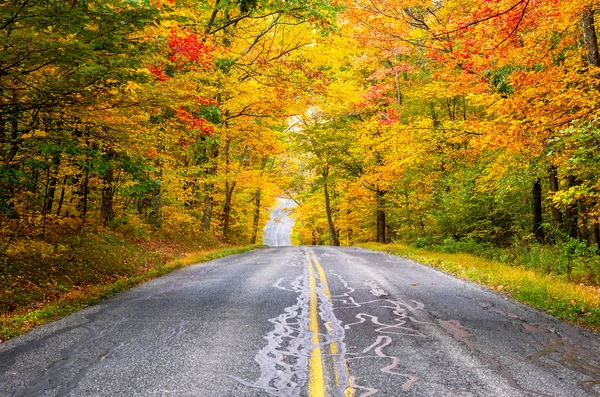 Verlaten Weg Door Een Bos Tijdens Het Herfst Kleuren Seizoen — Stockfoto