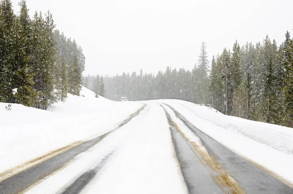 Forest Road Covered Snow Mountains Durign Blizzard Coming Snowplough Visible — Stock Photo, Image