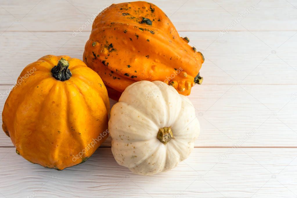 Close up of small pumpkins on a white wooden table. Selective focus and copy space.