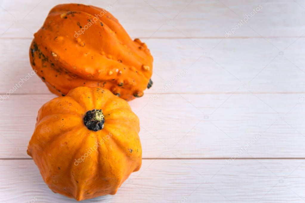 Close up of two small pumpkins on a white wooden table. Selective focus and copy space.
