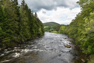 Dağ nehri bulutlu bir yaz gününde yeşil bir ormanlık vadiden akıyor. Aberdeenshire, İskoçya, Uk.